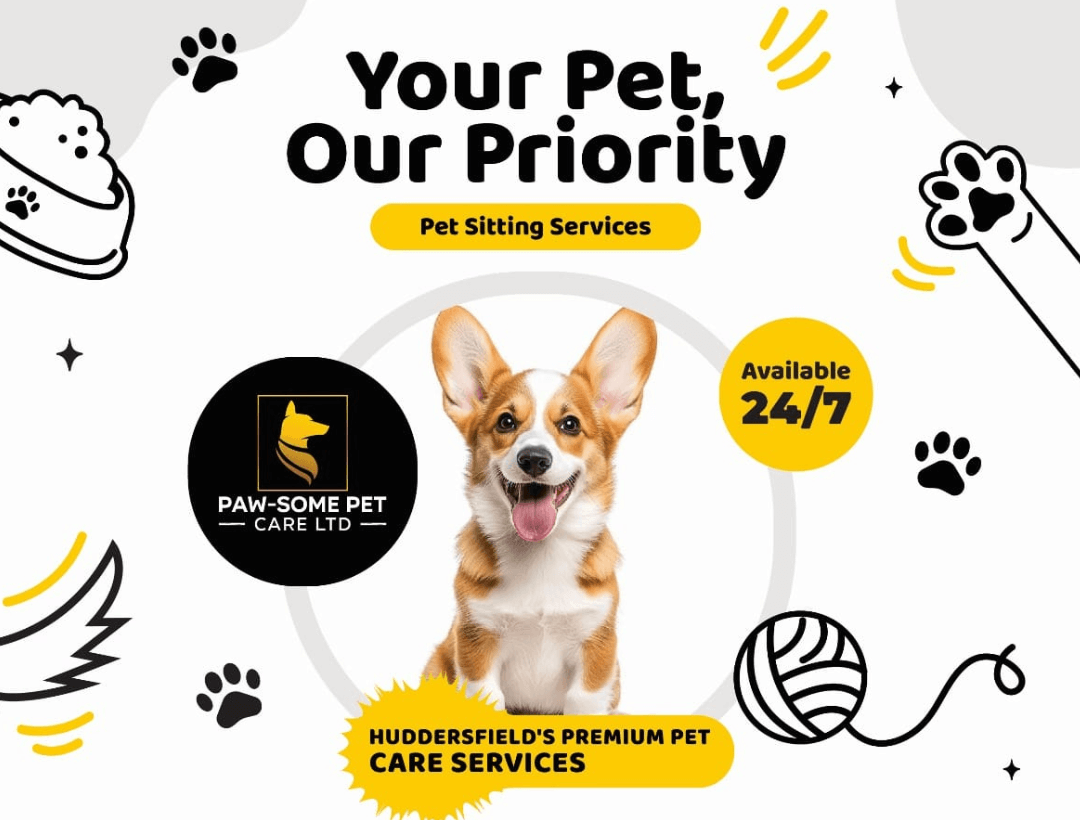 Happy dog enjoying professional pet care in Huddersfield